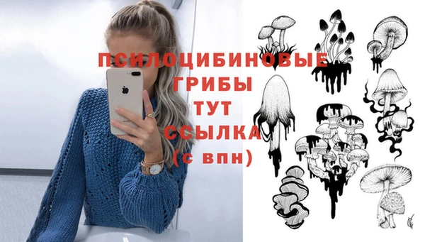 COCAINE Абаза