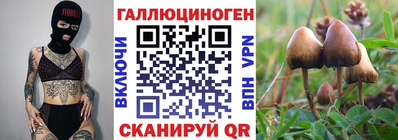 Псилоцибиновые грибы Magic Shrooms Абинск