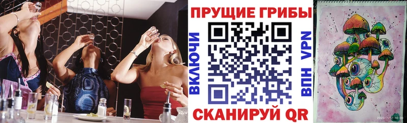 закладки Абинск omg как войти Псилоцибиновые грибы Psilocybe
